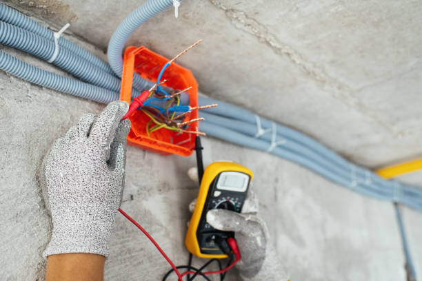 Best Ceiling Fan Installation Electrician  in Mayer, MN